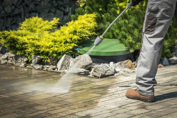 Best Boat and Dock Cleaning  in , IL